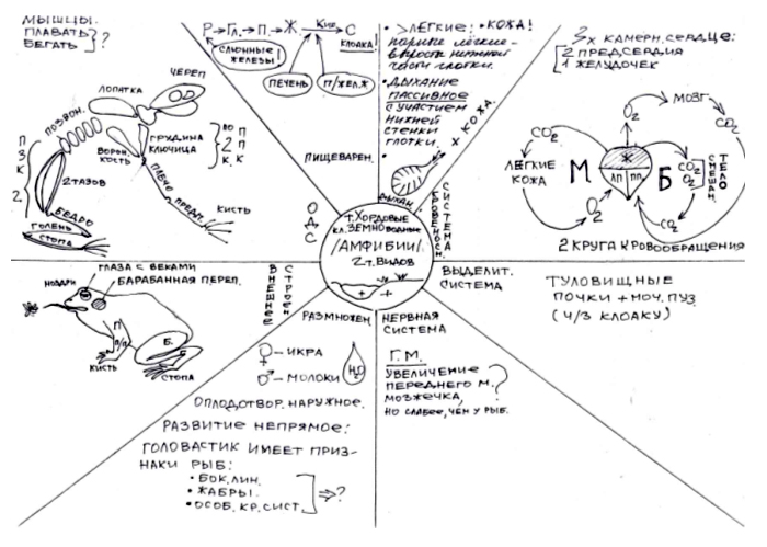 Уроки Шаталова По Физике